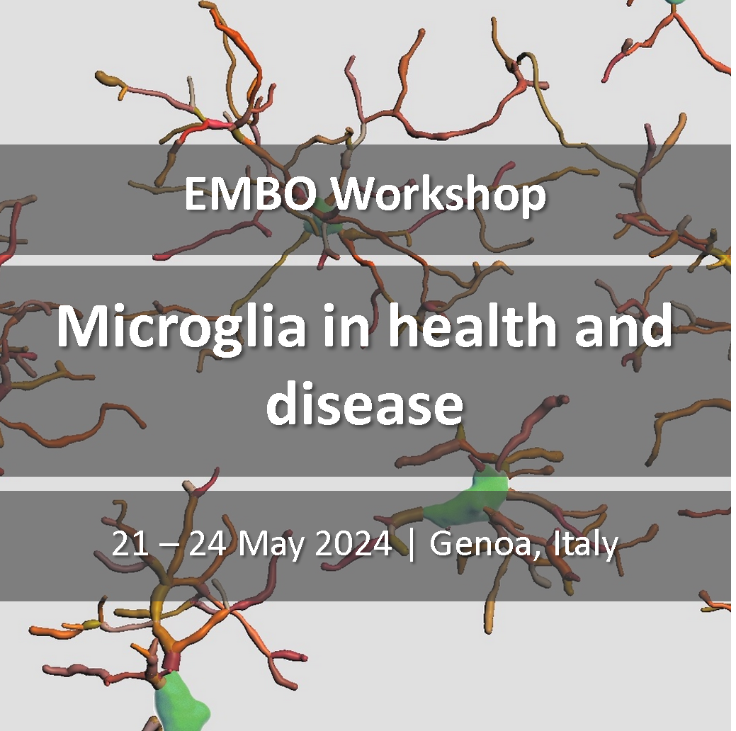 Microglia in Health and Disease