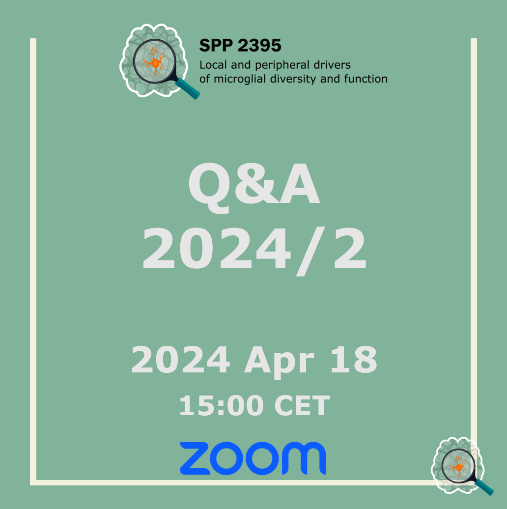 SPP2395 Satellite Meeting