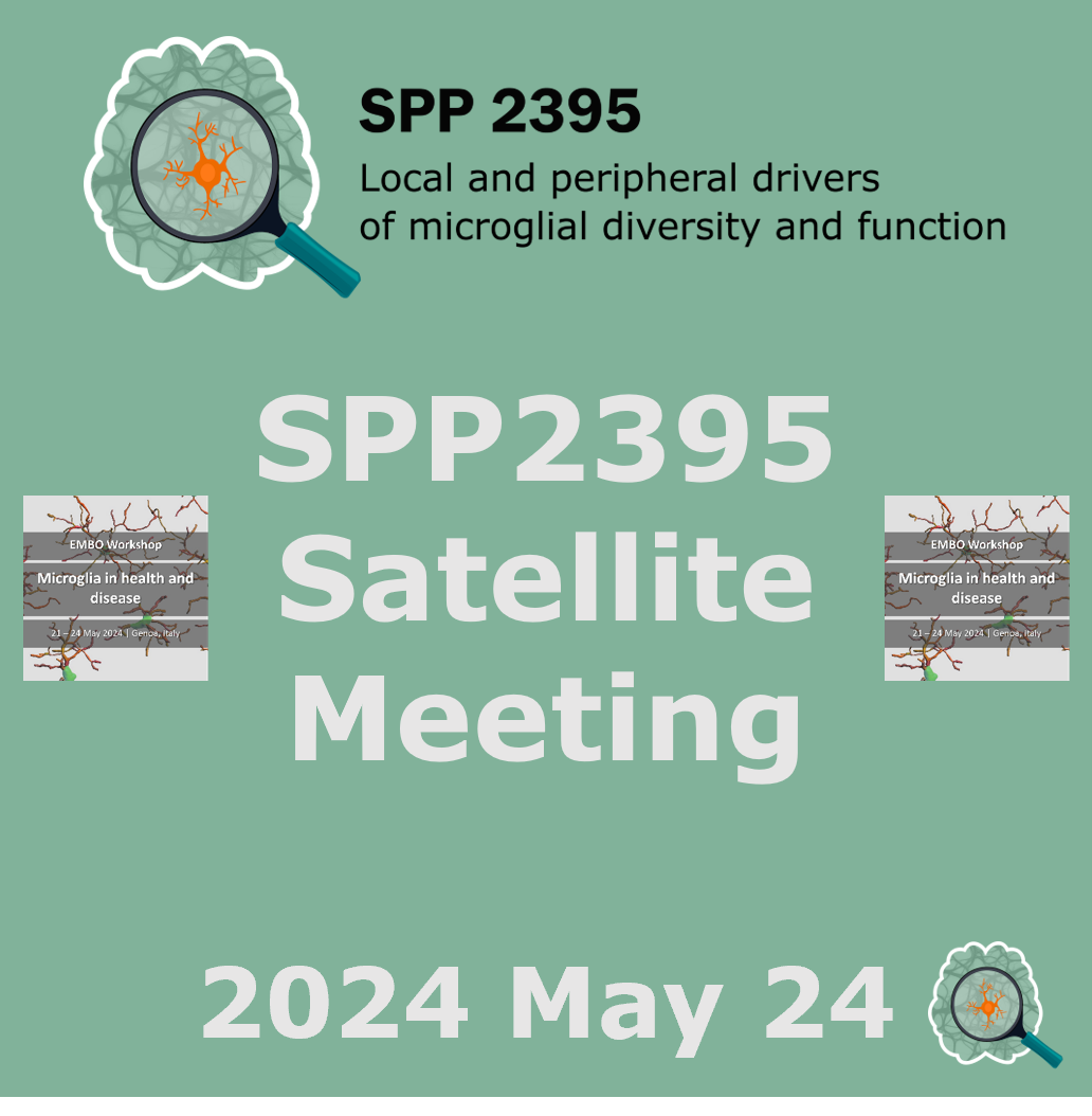 SPP2395 Satellite Meeting